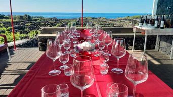 Terceira : visite d’une journée avec visite d’un vignoble et dégustation de vin