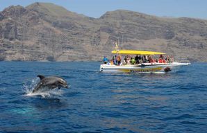 Los Gigantes : Croisière d'observation des baleines et des dauphins avec arrêt baignade