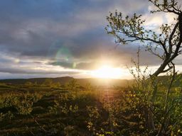 Excursion en VTT électronique dans les forêts de la taïga à Ivalo