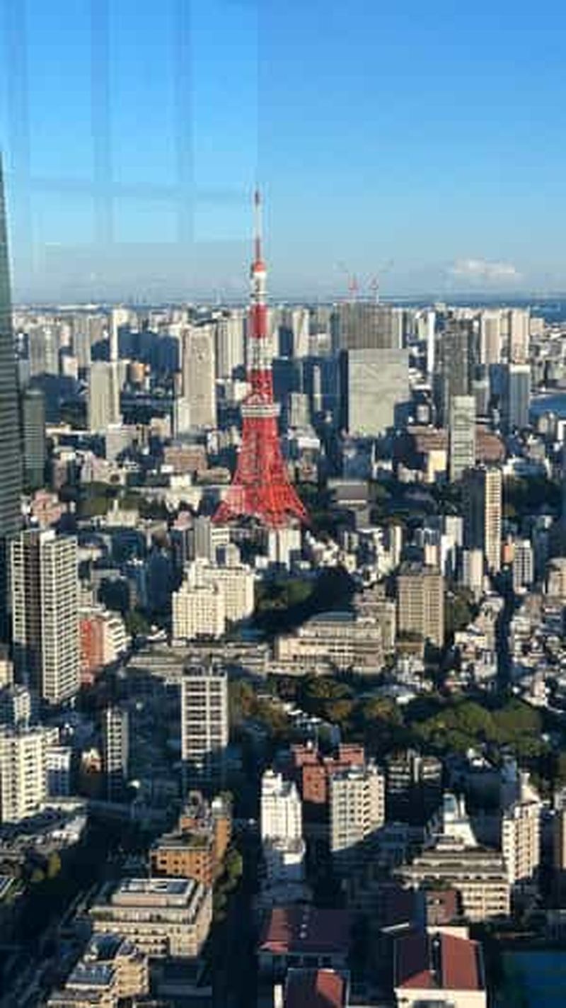 Tokyo : Harajuku, sanctuaire Meiji, parc Yoyogi et coucher de soleil à Roppongi
