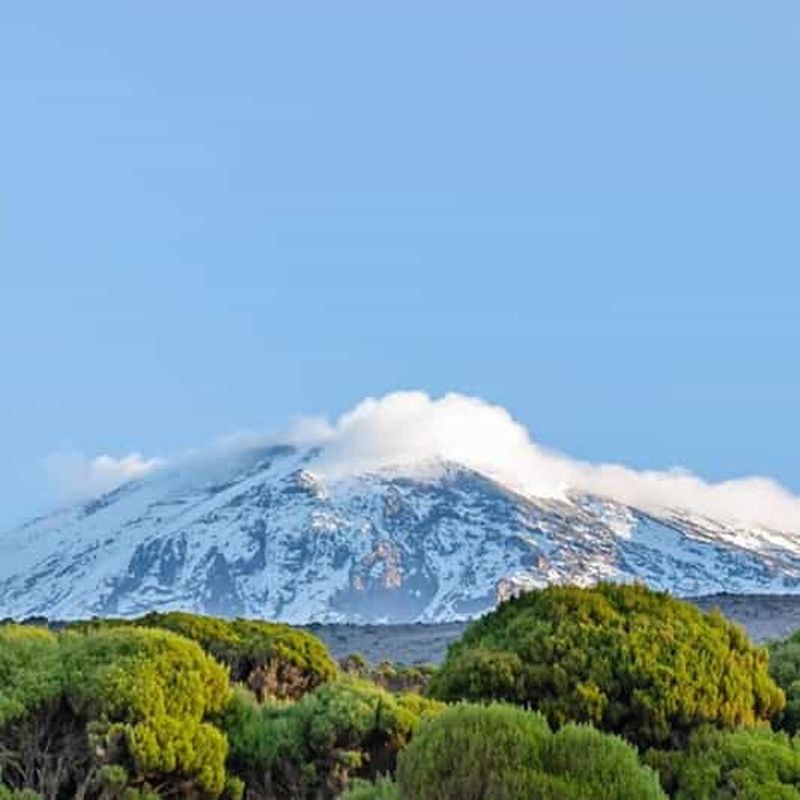 #1. Best Kilimanjaro Day hike Tour-Machame Route-ISMANI