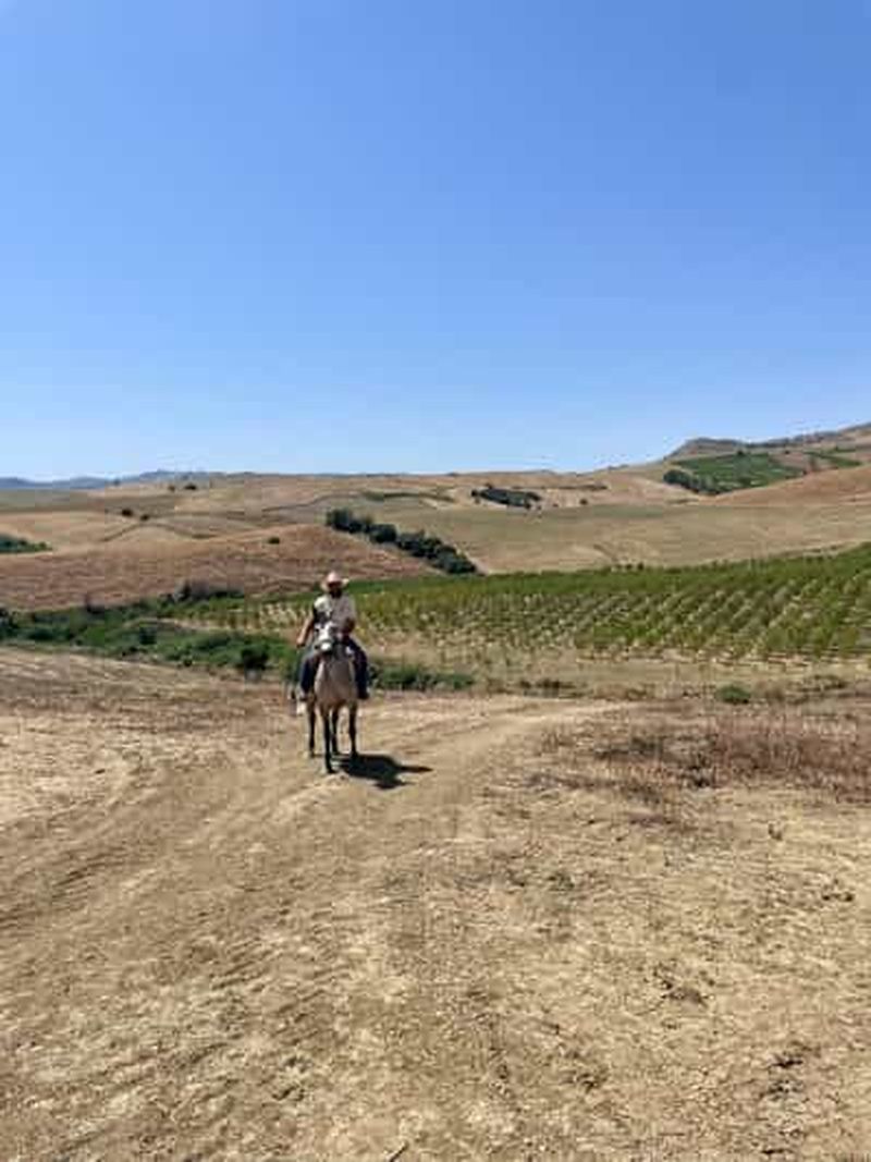 Enna, Sicile : promenade à cheval sur les sentiers de l'arrière-pays