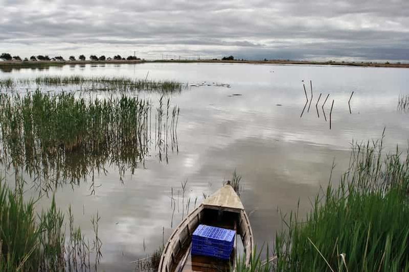 Observation des oiseaux dans le delta de l'Ebre