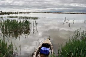 Observation des oiseaux dans le delta de l'Ebre