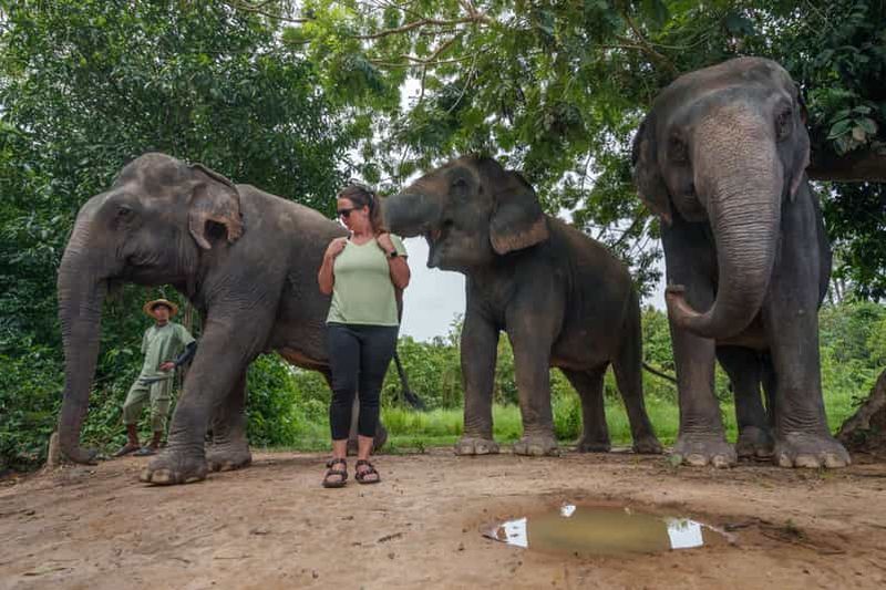 Parc de Phnom Kulen : Visite de la forêt d'éléphants depuis Siem Reap
