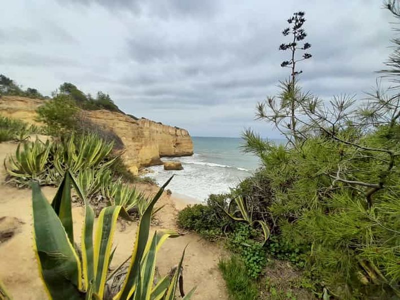 Albufeira : Visite des falaises de l'Algarve et de la chapelle des ossements