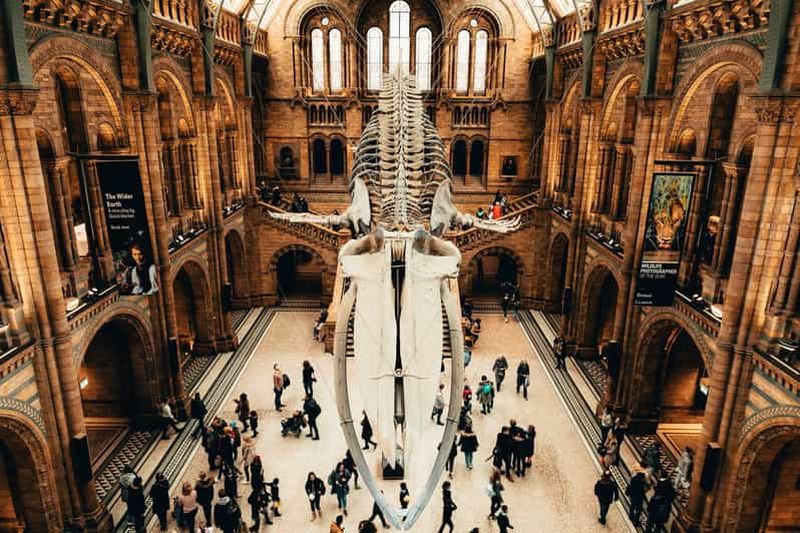 Londres : Entrée au Musée d'histoire naturelle et visite guidée par l'application