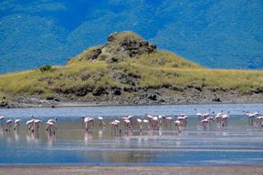 Arusha : excursion au lac Natron (promenade au bord du lac et randonnée aux chutes)