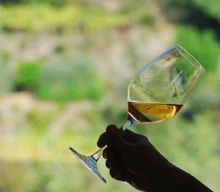 Manarola : Dégustation de vins de Cinque Terre