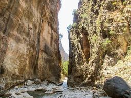 Au départ de La Canée : excursion d'une journée dans les gorges de Samaria avec guide