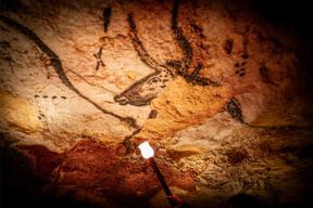 Lascaux IV : billet pour la visite de la grotte à l'identique