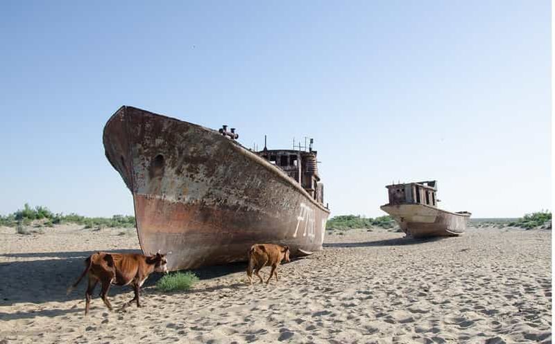 Excursion d'une journée de Khiva au cimetière de navires de la mer d'Aral. Tout en un