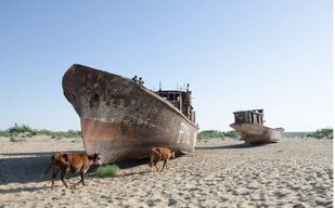 Excursion d'une journée de Khiva au cimetière de navires de la mer d'Aral. Tout en un