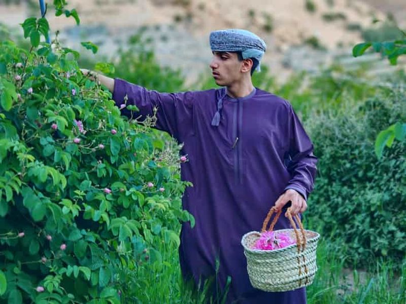 La saison des roses au Jebel Akhdar