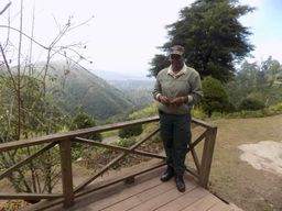 Au départ de Kingston : Randonnée et visite du café de Blue Mountain