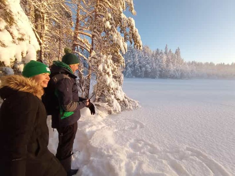 Depuis Helsinki : Visite culinaire du parc national de Nuuksio