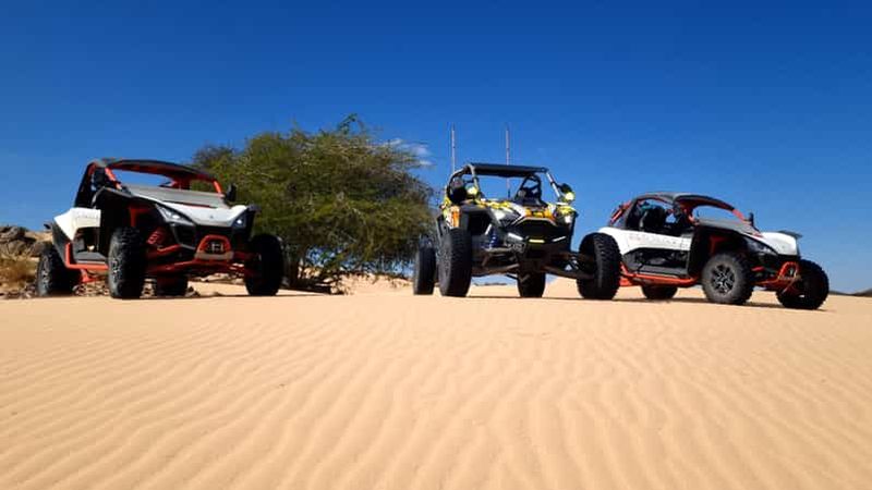 Buggy dans les dunes de Wahiba Sands : une aventure d'une heure dans le désert