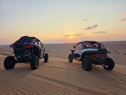 Wahiba Sands : safari épique en quad ou en buggy