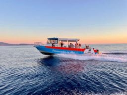 Tiuccia : Près d'Ajaccio, excursion en bateau avec escales à Piana-Scandola
