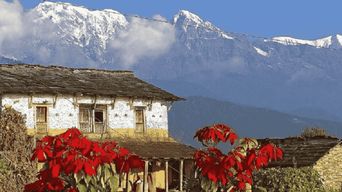 Pokhara : Randonnée d'une journée dans les contreforts de l'Annapurna avec transferts