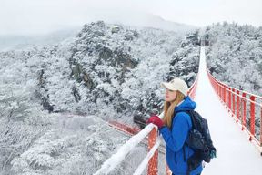 Séoul : DMZ, 3e tunnel et pont suspendu (en option)