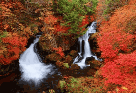 Depuis Tokyo : visite privée et personnalisée du sanctuaire de Nikko Toshogu