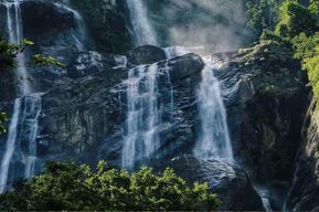 Zanzibar : safari à Mikumi et cascade d'Udzungwa