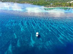 Depuis Roatan : 3 arrêts pour une aventure de plongée avec tuba et une pause plage