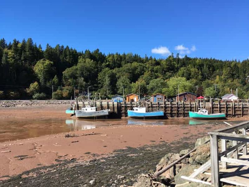 Au départ de Saint John : excursion en bus dans la baie de Fundy pour les passagers de la croisière