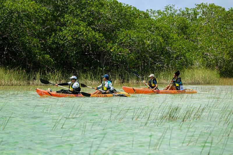Tulum : Excursion en kayak dans la réserve de biosphère de Sian Ka'an