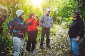 Au départ de Wellington : Visite guidée classique de l'île de Kapiti