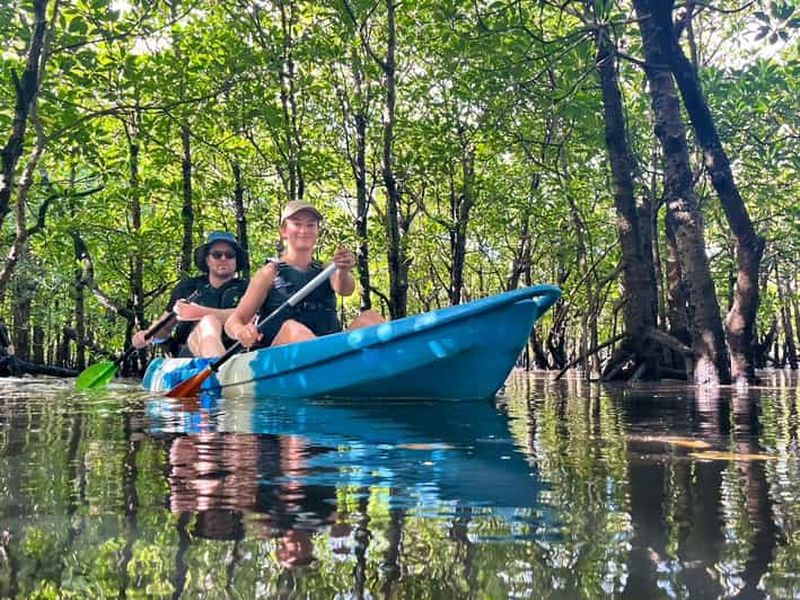 Île d'Iriomote : excursion en SUP ou en canoë sur la rivière Mangrove