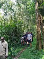 Visite d'une journée dans la forêt tropicale de Kakamega depuis Kisumu