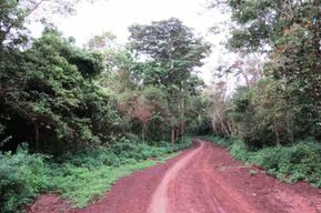 Lamu : randonnée guidée dans la forêt de Witu avec prise en charge à l’hôtel
