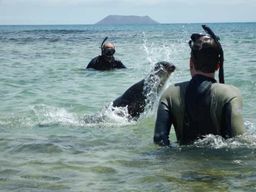 Galápagos : Circuit dans les îles 7 jours - 6 nuits