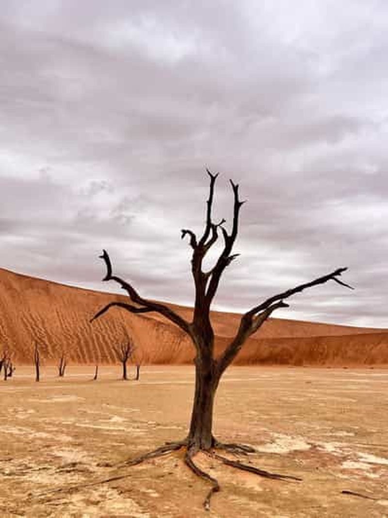 Sossusvlei : excursion d'une journée