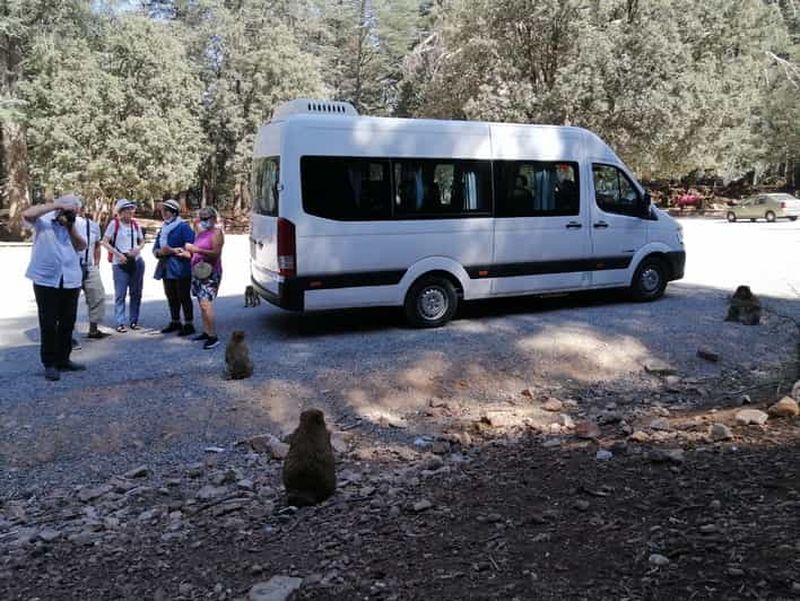 Au départ de Fès : Excursion d'une journée dans le Moyen Atlas avec le parc national d'Ifrane