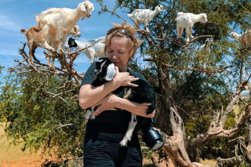 Agadir : Visite matinale du Crocoparc et des chèvres grimpant aux arbres