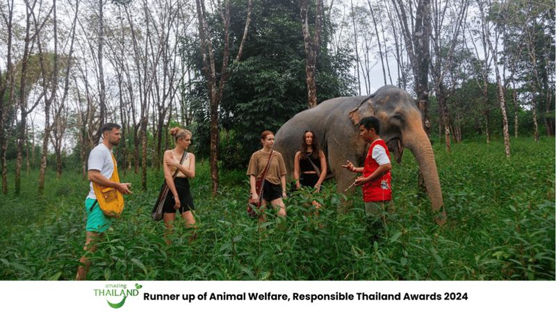 Phuket : Visite du sanctuaire des éléphants, cours de cuisine et déjeuner