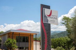 Pila-Canale: Visite du chai et dégustation de vins du Domaine de Pratavone