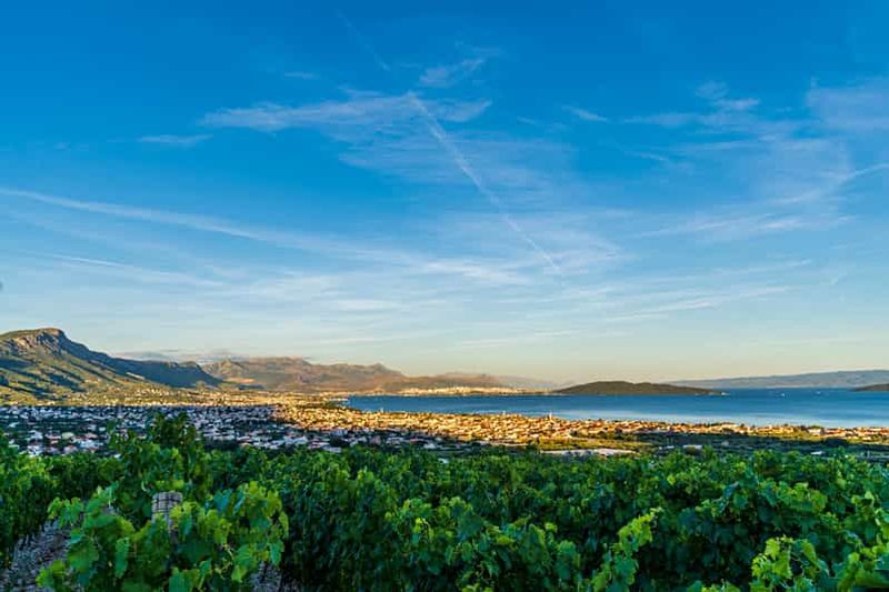 Un festin au vignoble : Dîner de groupe et dégustation de vins