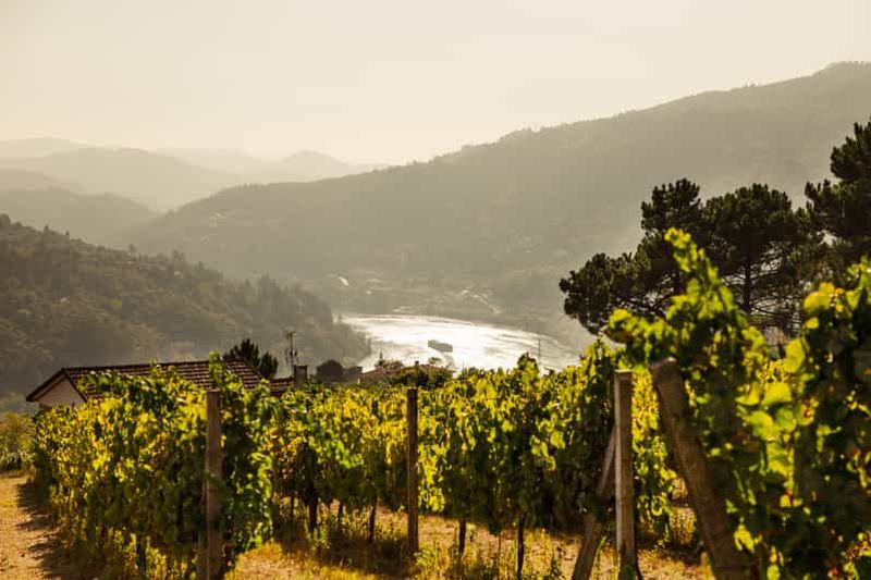 Porto : Visite exclusive de la vallée du Douro et du Vinho Verde