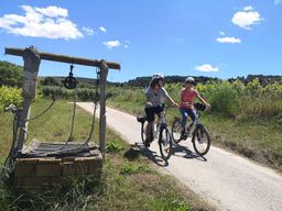 Barcelone : Visite guidée Bike & Wine - Vignobles du Penedès
