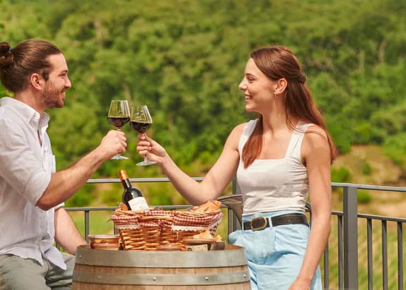 Saint-Emilion : Visite guidée d'un grand cru classé et pique-nique