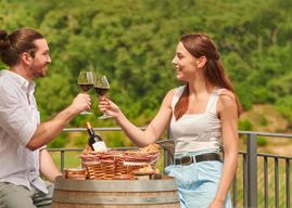 Saint-Emilion : Visite guidée d'un grand cru classé et pique-nique
