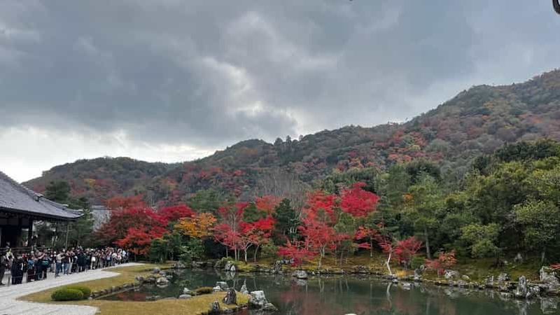 Visite guidée du temple Arashiyama/Tenryu-ji