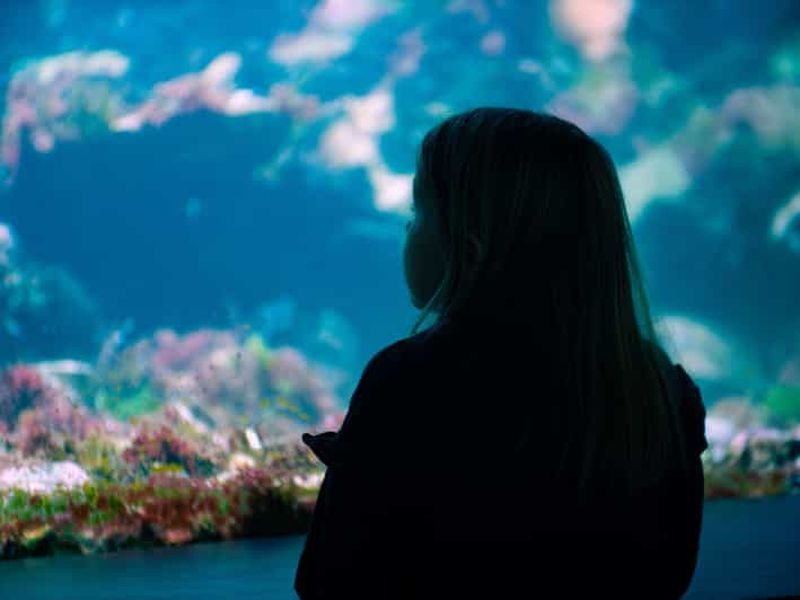 Bergen : billet d'entrée à l'aquarium et visite guidée