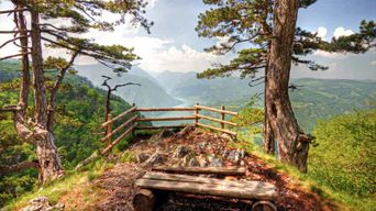 Serbie : visite d'une jounée de la Drina et du parc national de Tara