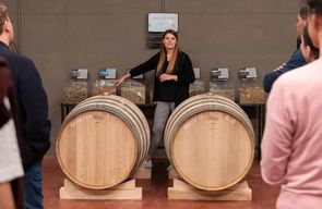 Visite d'un vignoble sur les collines de Parma et dégustation de vin avec plateau de nourriture