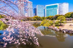 Tokyo : visite des jardins de Hama-rikyu avec thé et confiseries